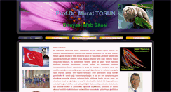 Desktop Screenshot of murattosun.com