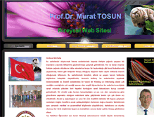 Tablet Screenshot of murattosun.com